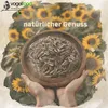 Hands holding a bowl of sunflower seeds with sunflowers in the background. Produktbild-Vorschau
