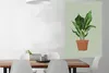 MuchoWow® Poster Pflanzen - Blumentopf - Grün 80x120 cm - Produktbild-Vorschau 2