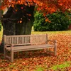 CLP Teakbank Jackson V2 Gartenbank mit Rückenlehne Produktbild-Vorschau 5