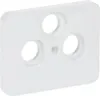 BUSCH-JAEGER Piastra centrale ant.box 3f alpha std-ws glz Anteprima dell’immagine prodotto 5