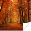 MuchoWow® Poster Herbst - Rot - Wald 50x50 cm - Produktbild-Vorschau 1