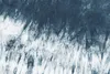Coloray Fototapete 360x250 cm An Einer Wand Latex Produktbild-Vorschau 2