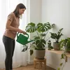 Universaldünger für Zimmerpflanzen 0,5l Produktbild-Vorschau 6