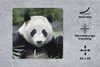 MuchoWow® Mauspad Mousepad Großer Panda - Gras - Steine Produktbild-Vorschau 2
