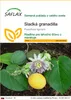SAFLAX - Sladká granadilla - Passiflora ligularis - 20 Náhľad obrázku produktu 1