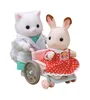 Sylvanian Families 5705, Arzt, 3 Jahr(e), Mehrfarbig Produktbild-Vorschau 14