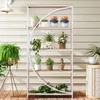 A multi-tiered shelf unit filled with various potted plants, displayed on a wooden deck against a light-colored, horizontally-paneled wall. Podgląd zdjęcia produktu