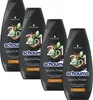 Schauma Sports Power Frische Shampoo mit Eukalyptus 400ml Produktbild-Vorschau 1