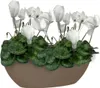 artevasi© BAHIA Pflanzgefäß Taupe 45 cm - Kunststoff Produktbild-Vorschau 2