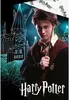 Harry Potter character in front of Hogwarts castle. Voir les images du produit