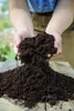 Hands holding soil over a wooden surface. Produktbild-Vorschau