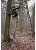 Hertenbank Productafbeelding-voorbeeld 1