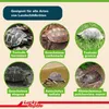 Lucky Reptile - Tortoise Bedding - 20 Liter Produktbild-Vorschau 7