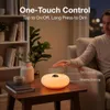 16 RGB Sunset Tischlampe mit Fernbedienung,USB Plastik Produktbild-Vorschau 10