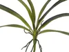 EUROPALMS List orchideje (EVA), umělý, zelený, 45 cm Náhled obrázku produktu 2