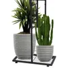 Two potted plants, a cactus and a palm-like plant, are displayed on a black metal plant stand against a white background. Anteprima dell’immagine prodotto