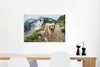 MuchoWow® Poster Ein Golden Retriever auf den Bergpfaden Produktbild-Vorschau 5