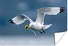 MuchoWow® Poster Möwe - Löwenzahn - Vogel 90x60 cm - Produktbild-Vorschau 1