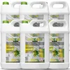 Essigsäure 80% 30L Konzentrat Reinigung Entkalkung Haushalt Produktbild-Vorschau 1