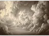 Vlies Fototapete - Whisper of Illuminated Clouds: Soft Play Produktbild-Vorschau 2