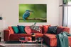 MuchoWow® Poster Eisvogel - Zweig - Moos - Vogel - Grün Produktbild-Vorschau 2