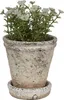 Clayre & Eef 6TE0503M Květináč béžový Ø11x12cm kamenný Náhľad obrázku produktu 2