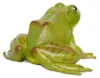 Safari Ltd Amerikanische Ochsenfroschfigur Grün From 3 Produktbild-Vorschau 2
