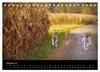 Whippets in Aktion (Tischkalender 2027 DIN A5 quer), Produktbild-Vorschau 10