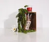 PINEEA drevená krabica malá 30x20x15 - flambovaná vintage Náhľad obrázku produktu 7