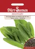 Sauerampfer | Sauerampfersamen von Dürr Samen Produktbild-Vorschau 3