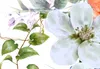 Vlies Fototapete Retro Blumen 450x315 cm Tapeten Wandtapete Produktbild-Vorschau 4