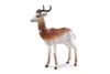 Collecta Gazelle Dame L Figur Braun 3-6 Years Braun 3-6 Produktbild-Vorschau 2