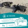 Two baby sea turtles on a sandy beach, with a graphic overlay promoting a collaboration. Produktbild-Vorschau