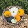Buzzy Ornamental Kalebasse Patisson Farbe Mischung Samen - Produktbild-Vorschau 5