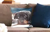 MuchoWow® Zierkissen Sofakissen Wohnzimmer Dekokissen 45x45 Produktbild-Vorschau 2