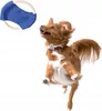 PETSTORY Robustes Frisbee Hundespielzeug 18cm Produktbild-Vorschau 2
