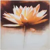 Leinwandbild seerosenblüte 30x30 cm Feeby beige wandbild Produktbild-Vorschau 3