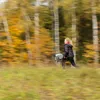 Hobbypferd A3 Skippi grau Stockspielzeug für Kinder Produktbild-Vorschau 9