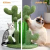 PurpurRain Kratzsäule Kaktus-Katzenkratzbaum M mit Produktbild-Vorschau 6