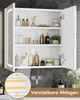 A white bathroom cabinet with a mirrored door, illuminated by LED lights, is shown open, displaying various toiletries and skincare products on its shelves. A circular inset highlights the adjustable shelves feature. Voir les images du produit