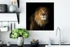 MuchoWow® Poster Löwe - Tier - Schwarz 50x50 cm - Produktbild-Vorschau 3