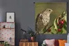 MuchoWow® Wandteppich Wandbehang Vogel auf einem Ast Produktbild-Vorschau 5