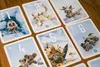 Pegasus Spiele Pixies (DE) - Familienspiel (+) Produktbild-Vorschau 3