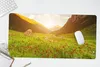 MuchoWow® Schreibtischunterlage Blumen - Berg - Sonne 80x40 Produktbild-Vorschau 5