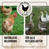 AniForte Wohlfühlkräuter für Hühner & Geflügel 500 g - Produktbild-Vorschau 4