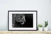 MuchoWow® Gerahmtes Poster Leopard - Schwarz - Weiß - Pelz Produktbild-Vorschau 4