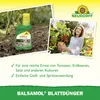 Neudorff Balsamol Blattdünger - Zur Düngung und sofortigen Produktbild-Vorschau 5