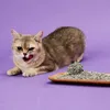 Żwirek dla kota 7L Petkit Podgląd zdjęcia produktu 5
