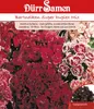 Dürr-Samen - Bartnelke Super Duplex Mix zweijährig 50-60 cm Produktbild-Vorschau 2