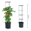Sadzač paradajok GROWER antracitový 39,2 cm Náhľad obrázku produktu 10